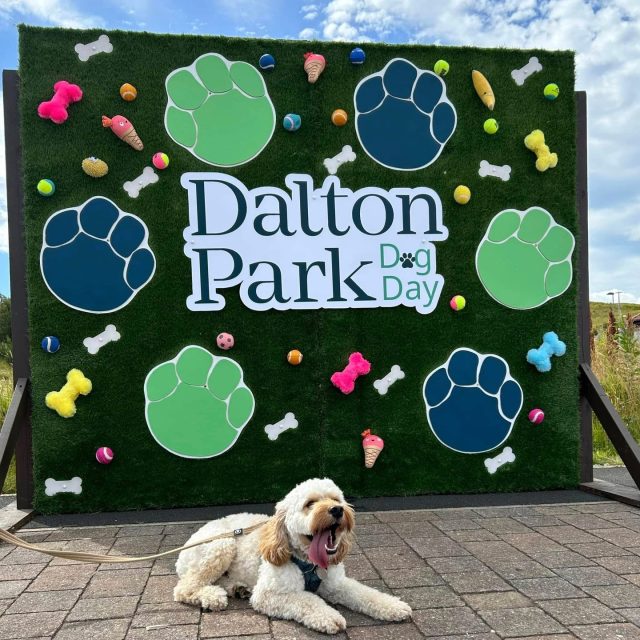 Strut your Pup is BACK! 🐾Enjoy scenic walks through our parklands, free puppuccinos, a Dalton bandana, a fun photo spot, a FREE agility course and a doggy market packed with treats and toys.📆 Sunday 19th July🎟️ Register for your FREE ticket via the link in bio!
