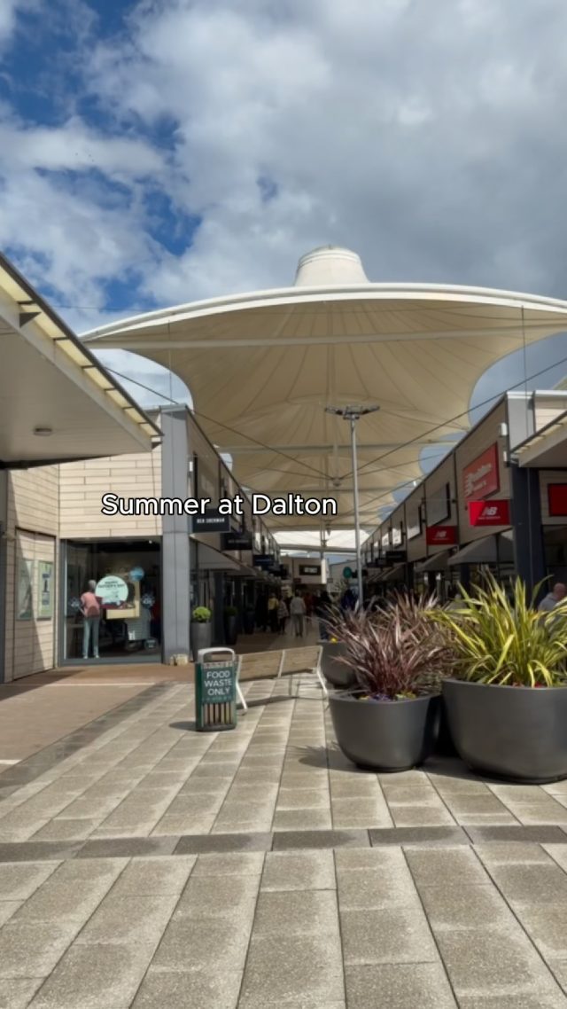 This is summer at Dalton Park 🌞💕